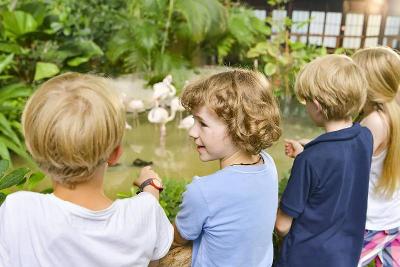 Englisch-Herbstcamp Tropical Islands - Dahme-Spreewald