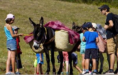 Colonie avec les Ânes dans l'Aude - Aude