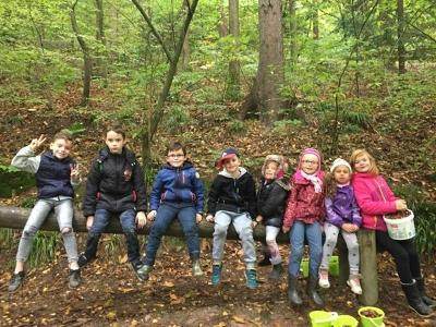 Colo Nature dans les Vosges Automne - Vosges