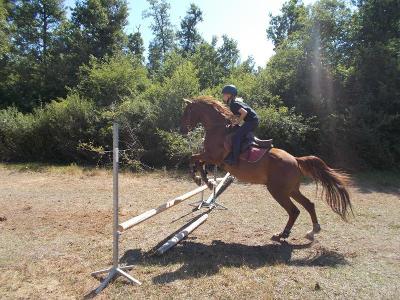 Séjour pour Passionnés d'Équitation dans l'Aveyron - Aveyron