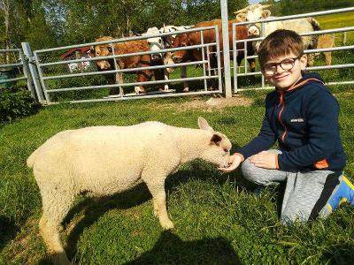 Séjour Petit Fermier en Bourgogne Printemps - Yonne
