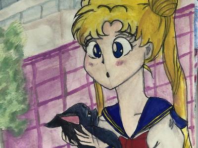 Manga-Sommercamp Neukirch bei Dresden - Bautzen
