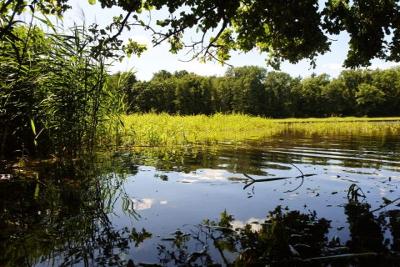 Naturcamp für Mädchen Grüngräbchen bei Dresden - Grüngräbchen