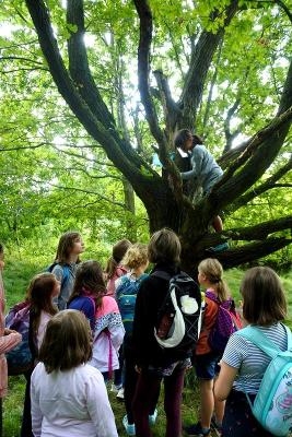Sportfreizeit Sohland bei Dresden - Bautzen