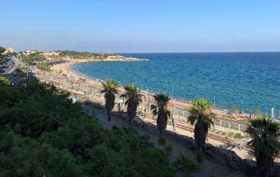 Der Strand mit Palmen auf Sprachreise nach Spanien für Schüler