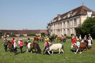Colo Petits Cavaliers et Fermiers dans l'Yonne - Yonne