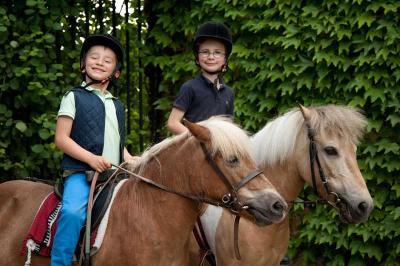 Colonie Equitation et Western dans l'Yonne - Yonne