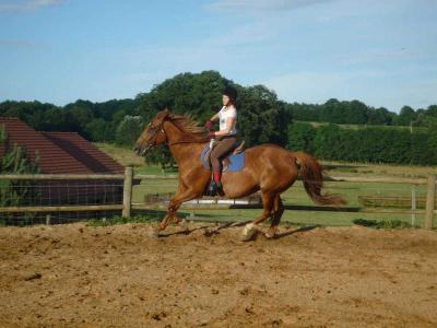Colonie Equitation et Quad dans l'Yonne Printemps - Yonne