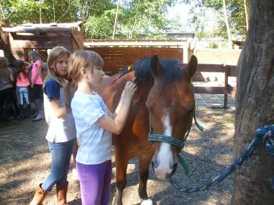 Mädchen streicheln ihre Pferde während der Reiterferien Hessen