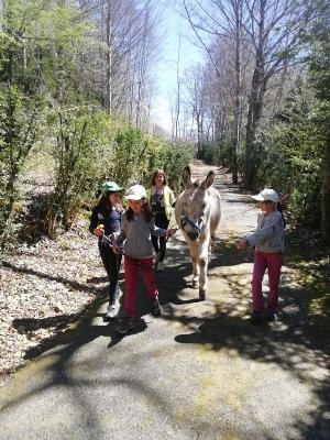 Colonie Equitation en Isère 7-12 ans Printemps - Isère (38)