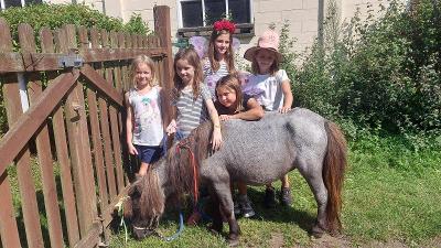 Boerderijkamp Antwerpen Paasvakantie - Kempen