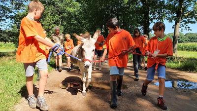 Sportkamp op de Boerderij Antwerpen - Antwerpen