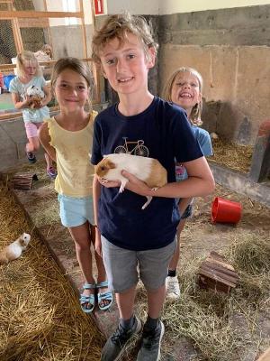 Mini Farmer Zomerkamp België 3-6 jaar - Ronse