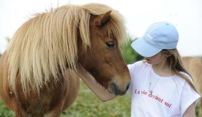 Séjour Equestre dans la Vienne Automne - Vienne
