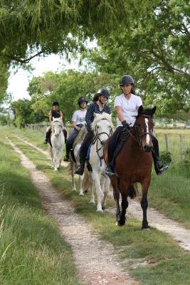 Colo Equitation Ethologique en Charente-Maritime 11-17 ans - Charente-Maritime