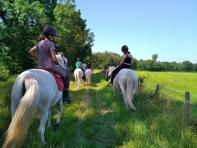 Stage Tir à l'Arc à Cheval en Charente-Maritime - Charente-Maritime