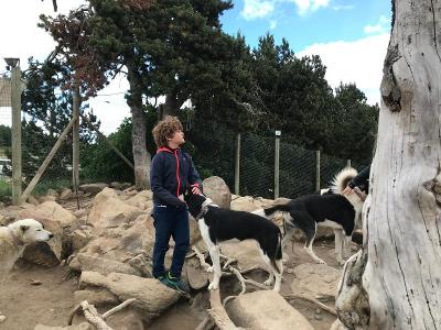 Colonie Multi-Activités et Huskys à Font Romeu - Pyrénées Orientales