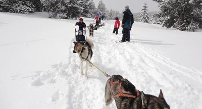 Colonie Ski Alpin et Chiens de Traîneaux à Font Romeu - Pyrénées-Orientales