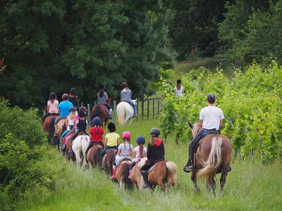 Séjour Virée Équestre et Nature en Gironde 6 - 11 ans - Gironde