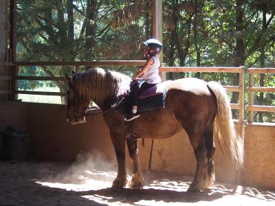 Séjour Équitation et Petits Fermiers en Gironde - Gironde