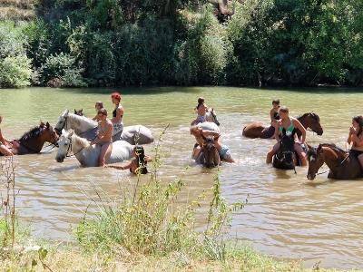 Campamento Ecuestre en Valladolid - Valladolid