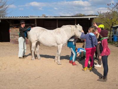 Pferdeferien bei Potsdam Ostern - Havelland