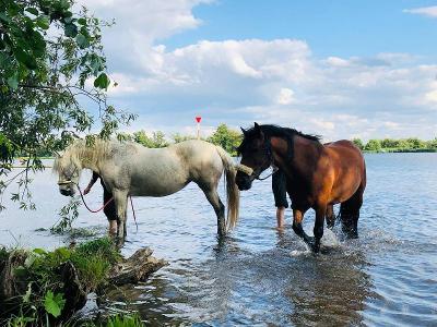 Pferdeferien bei Ketzin Ostern - Havelland