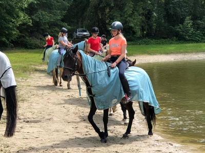 Ponykamp bij Zwolle Meivakantie - Dalfsen