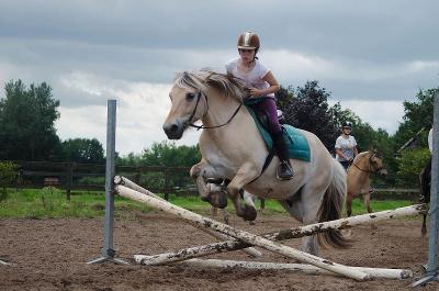 Ponykamp bij Zwolle - Dalfsen