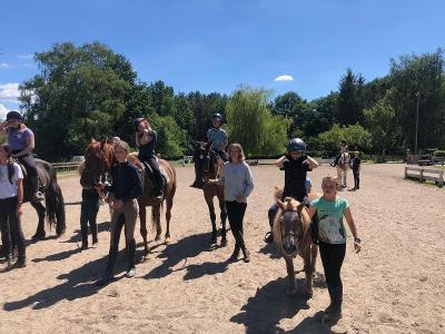 Ponykamp Antwerpen Zomervakantie - Antwerpen