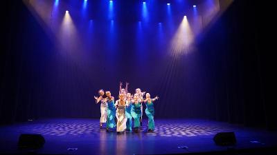 Dans- en Musicalkamp Utrecht - Amerongen