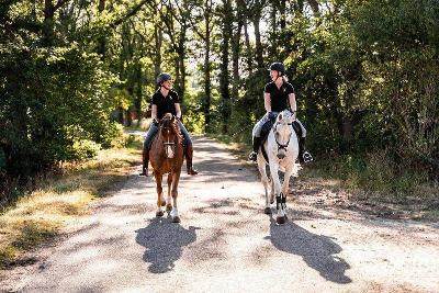 Ponykamp Holterberg - Holten
