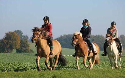 Herbst-Reitferien in Kiel - Kiel