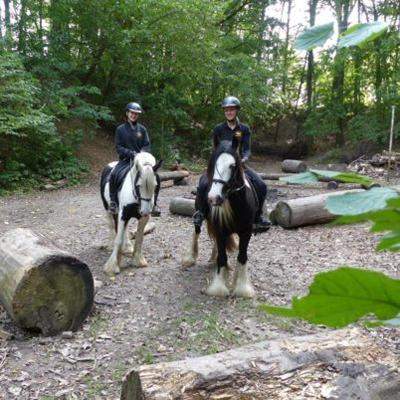 Oster-Reiterferien in Barth - Ostsee
