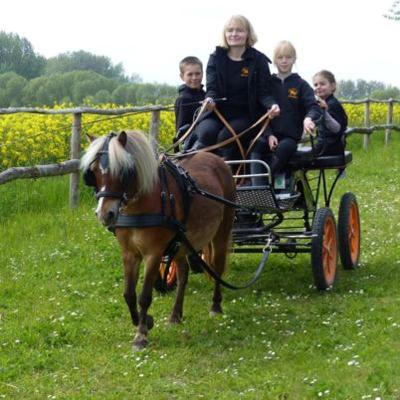 Springreiter-Feriencamp in Hirschburg Winter - Ostsee