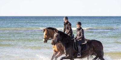 Winter-Reiterferien in Hirschburg - Ostsee