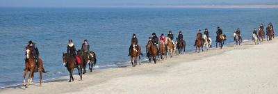 Silvester-Reiterferien in Hirschburg - Ostsee