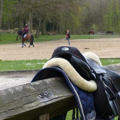 Springreiter-Wochenendferien in Wendorf Herbst - Ostsee