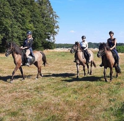 Sommer-Reiterferien in Bad Doberan - Ostsee