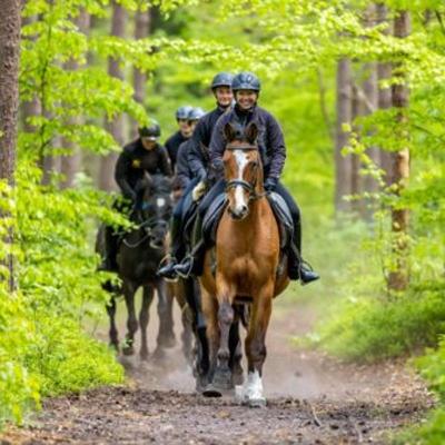 Vielseitigkeit-Wochenendferien in Barth Sommer - Ostsee