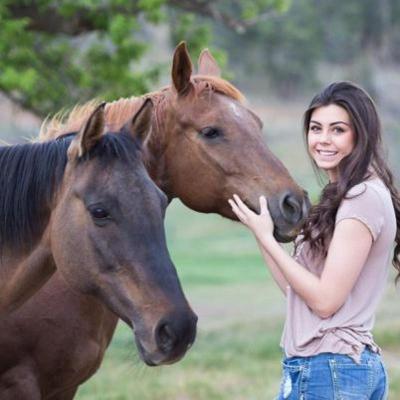 Dressurreiter-Wochenendferien in Hirschburg Herbst - Ostsee