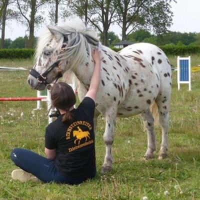 Wochenend-Reiterferien in Wendorf Frühjahr - Ostsee
