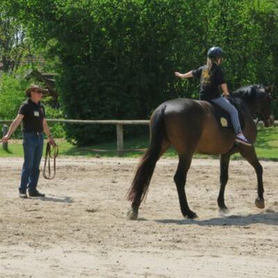 Wochenend-Reiterferien in Wendorf Herbst - Ostsee
