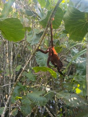 Jugendreise auf Spanisch nach Kolumbien - Bogota