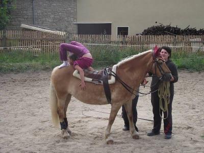Herbst-Reiterferien bei Erfurt - Weimarer Land
