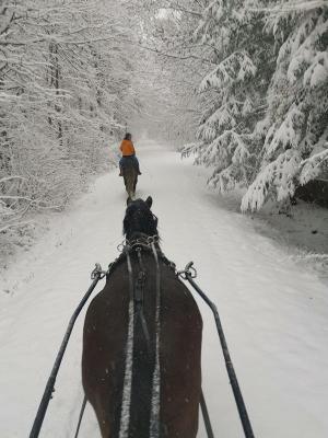 Winter-Reiterferien bei Erfurt - Weimarer Land