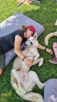 Pfingst-Huskycamp bei Ulm - Schwäbische Alb