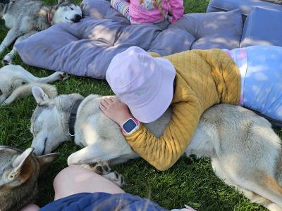 Sommer-Huskycamp bei Ulm - Schwäbische Alb
