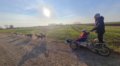 Herbst-Huskycamp bei Ulm