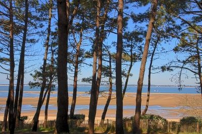Curso de Francés en Verano en Arcachón - Costa Atlántica